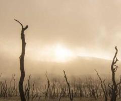 Mujer madura elegante y discreta