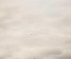 Shemale espectacular fotos reales 🔥